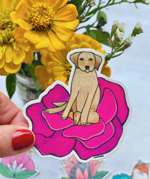 Labrador