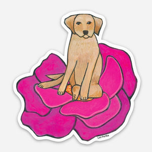 Labrador
