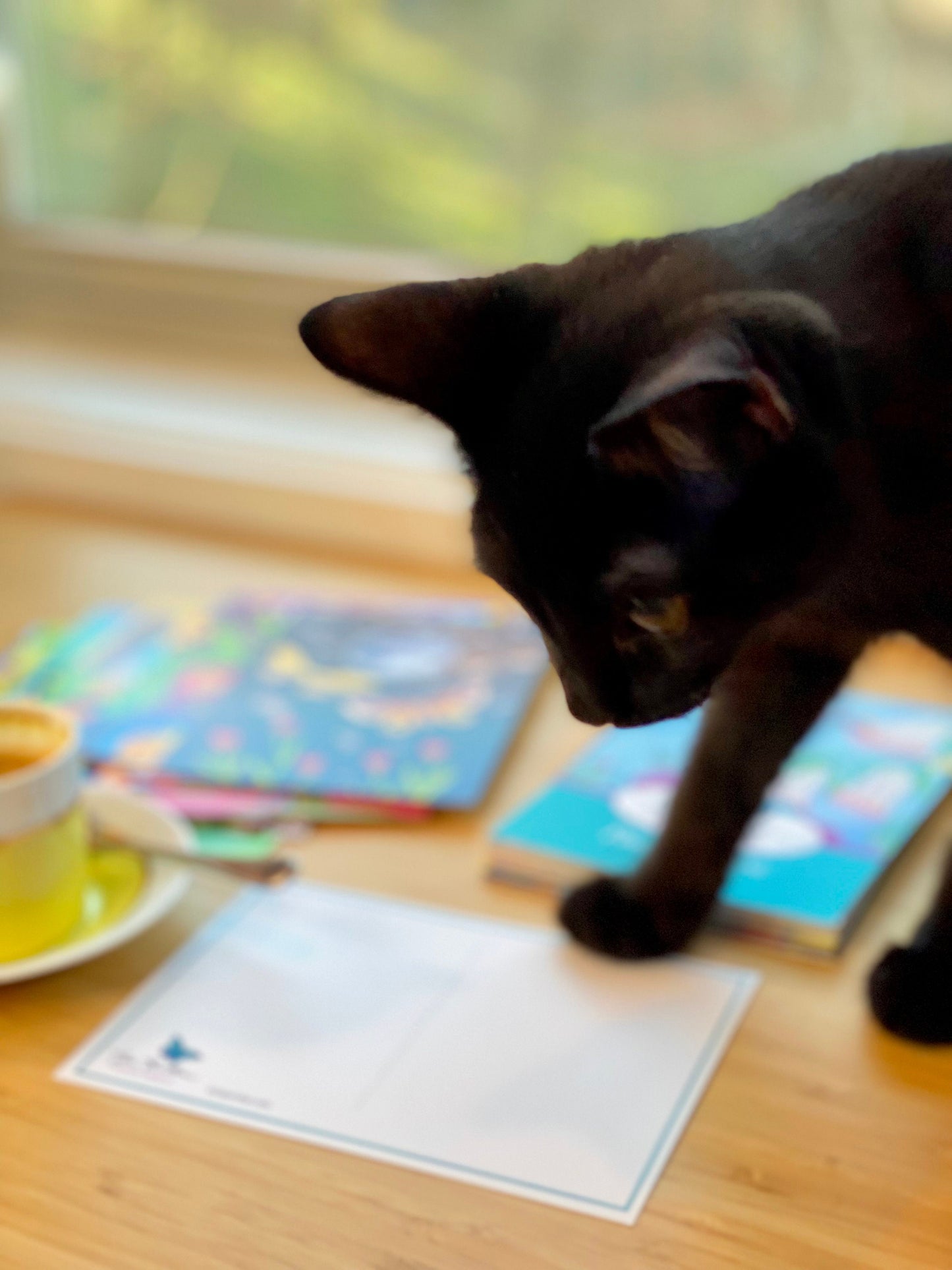 Pouring Love Postcard Pack