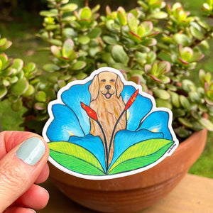 Golden Retriever