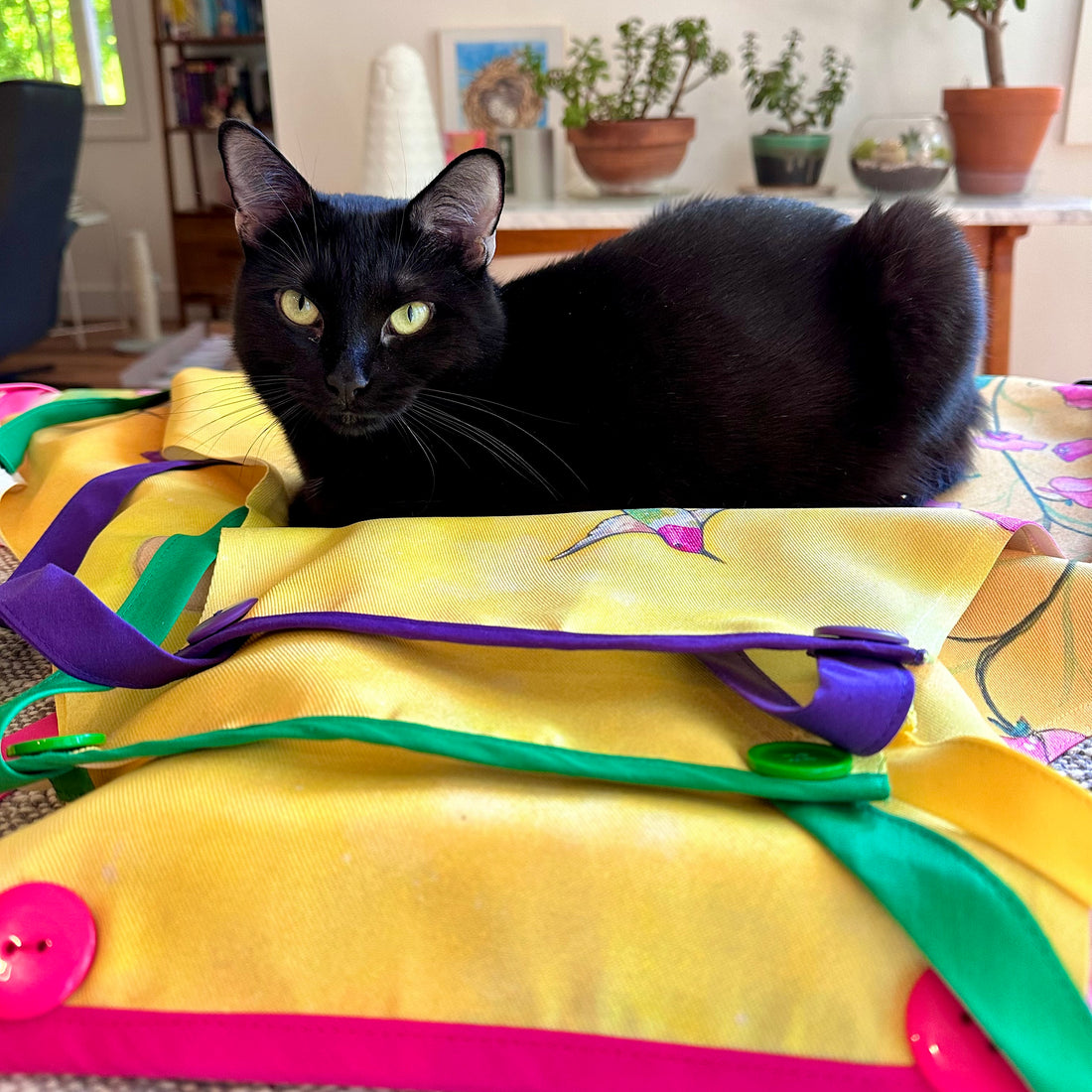 New Products the Whole Month of June :)