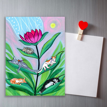 Cat Naps - Magnet (NEW!)