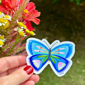 Blue Butterfly