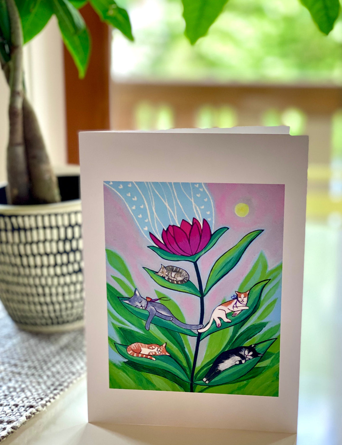 Importance of Cat Nap