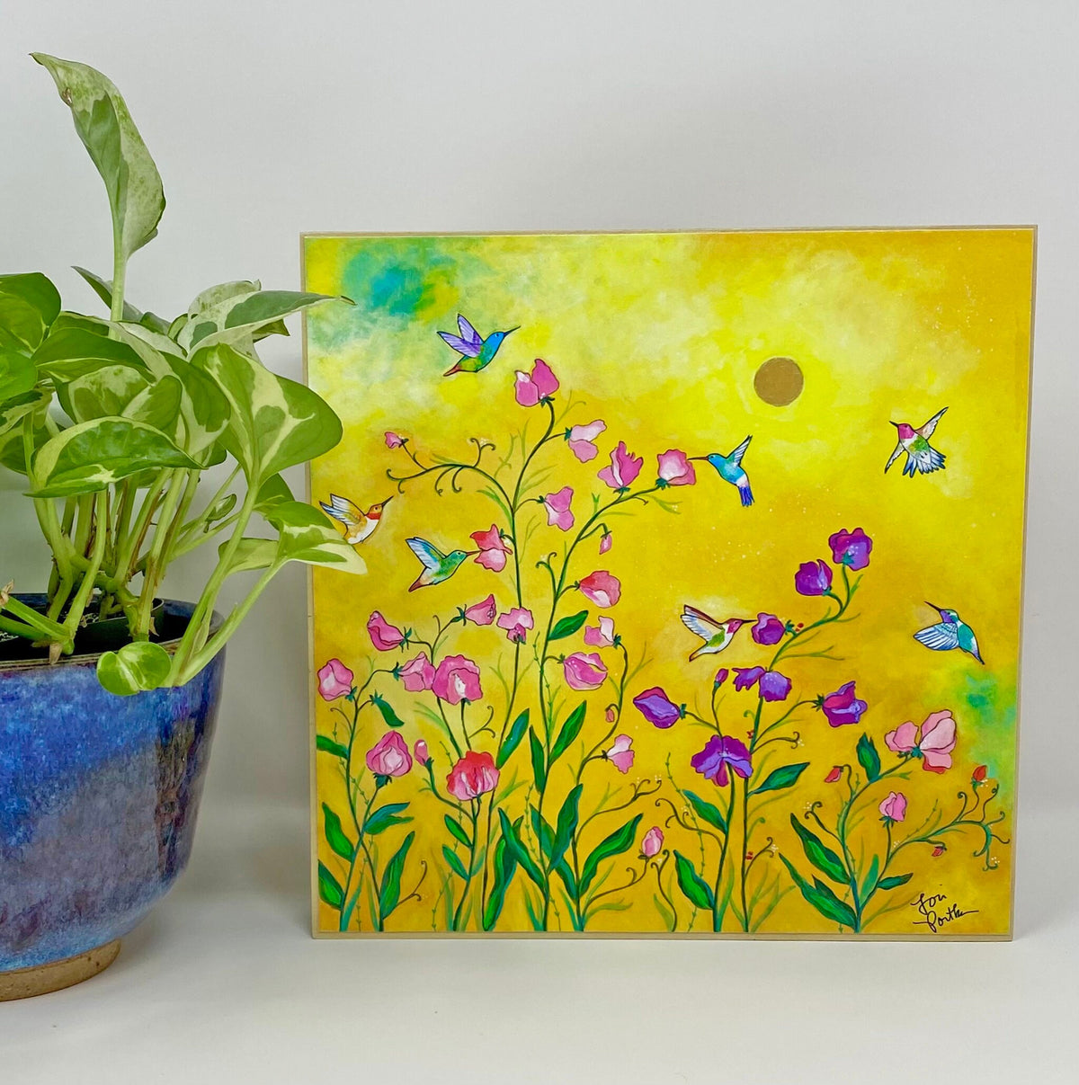 Golden Solstice (6x6/8x8)